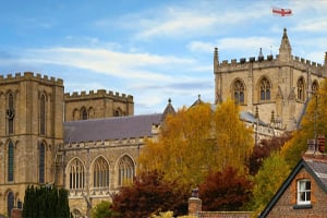 ripon